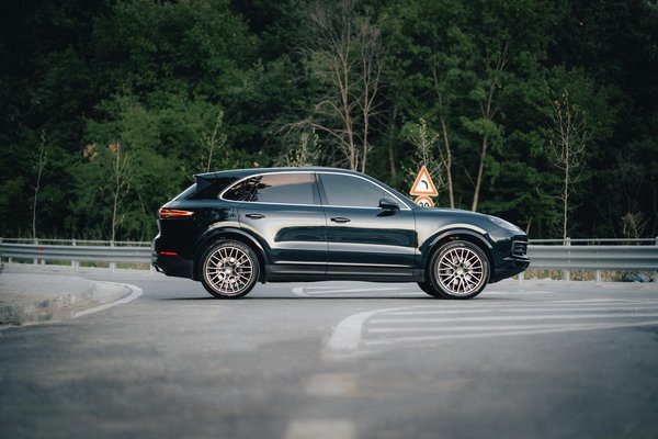 Why Are People in the UK Opting for Unusual Pet Companions?